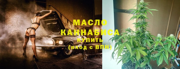 стаф Арсеньев