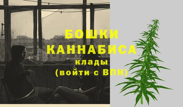 стаф Арсеньев